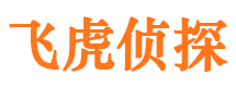 辰溪私家侦探公司